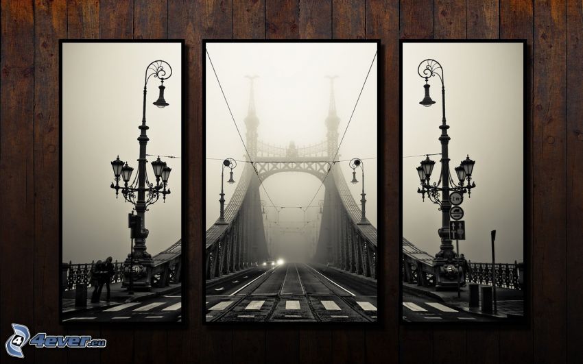 bilder, bro, lampor
