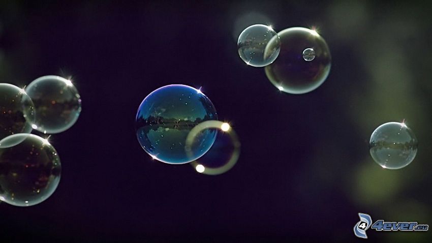 bubblor