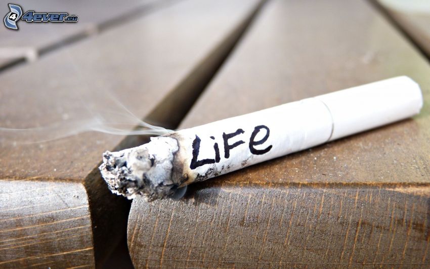 cigarett, life, trä