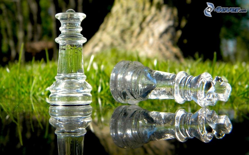 schackpjäser, glas, gräsmatta