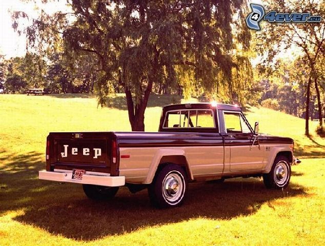 Jeep, pickup truck