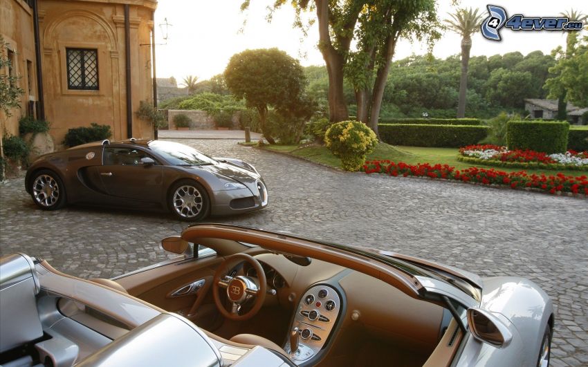 Bugatti Veyron, trädgård, trottoar