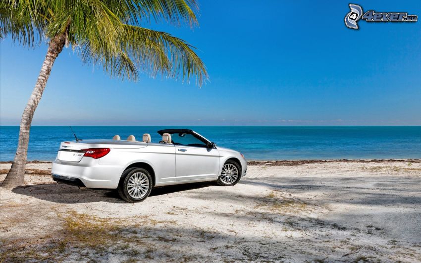 Chrysler 200 Convertible, cabriolet, hav, palmträd över hav, strand