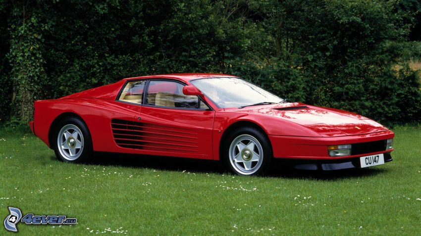 Ferrari TR, gräsmatta