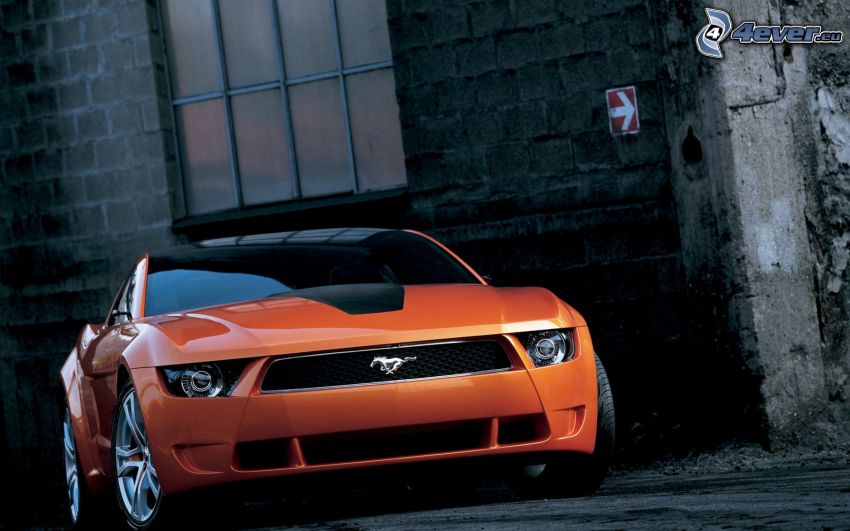 Ford Mustang Giugiaro, vägg, fönster