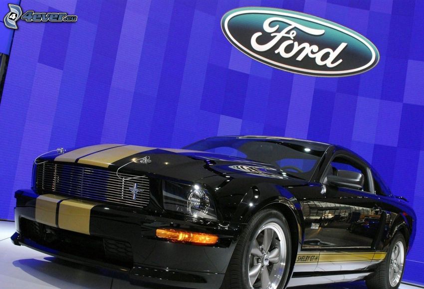 Ford Mustang Shelby GT, utställning