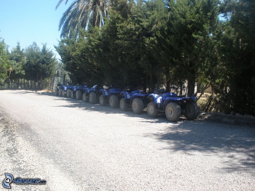 fyrhjulingar, Tabarka, Tunisien, semester