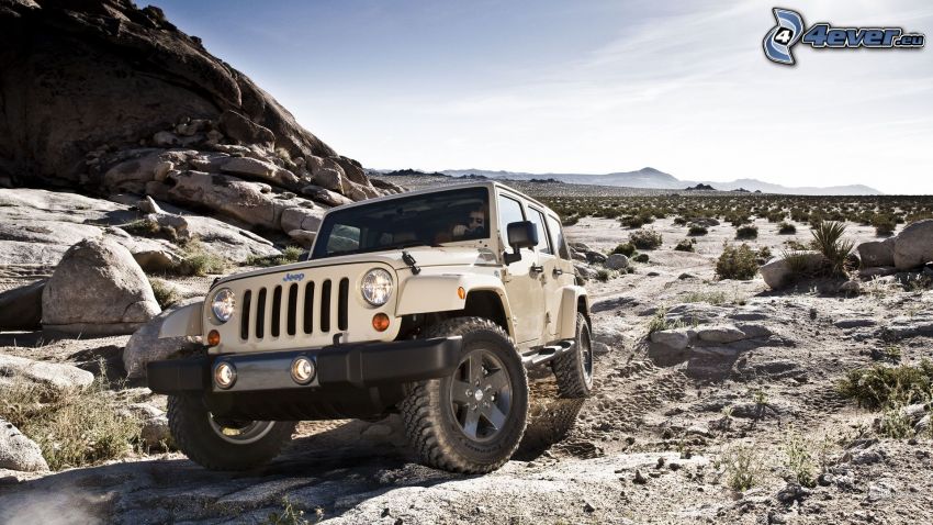 Jeep, savann