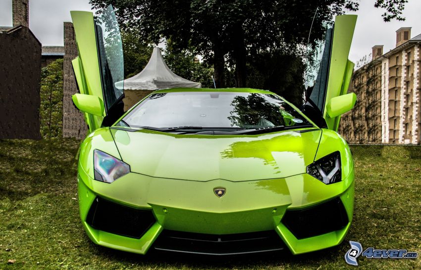 Lamborghini Aventador, dörr