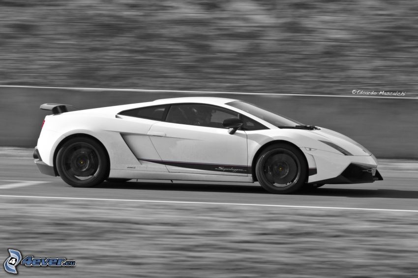 Lamborghini Gallardo LP570, fart, svart och vitt