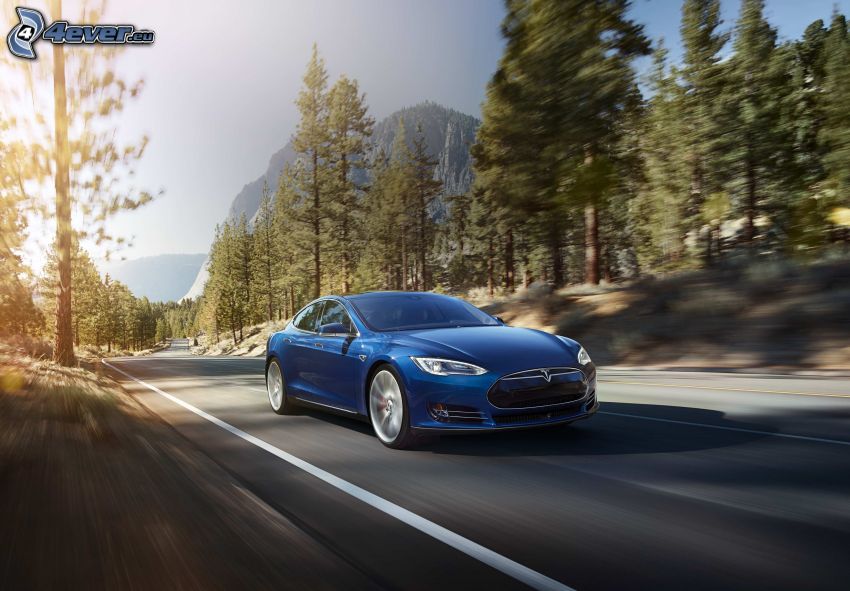 Tesla Model S, skog, klippor, fart