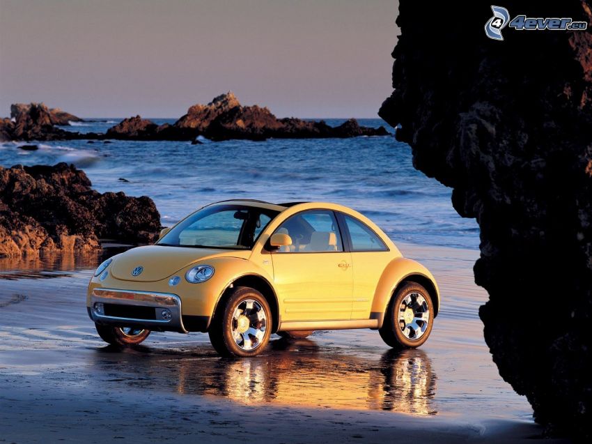 Volkswagen New Beetle, hav