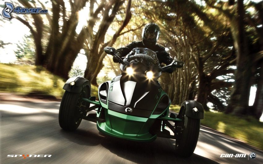 trehjuling, motorcykelförare, fart, träd