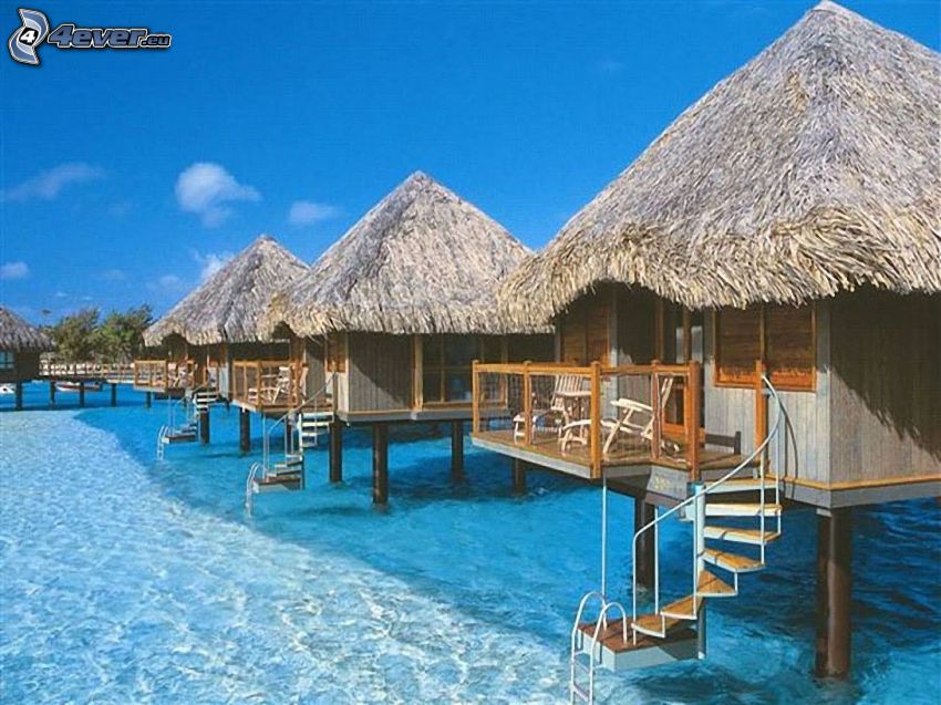 bungalows vid havet på Bora Bora, hav, vatten, semester