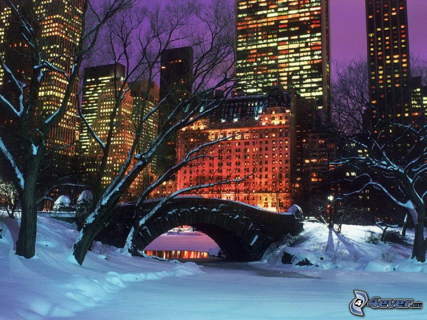 Central Park, stenbro, snö, skyskrapor, kväll