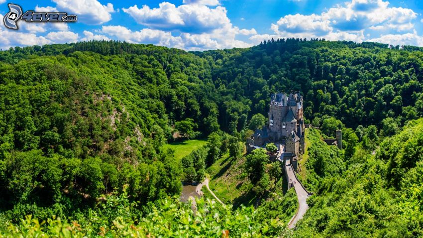 Eltz Castle, bergskedja, skog, grönska