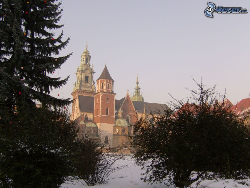 Krakow, Wawel, katedral, barrträd