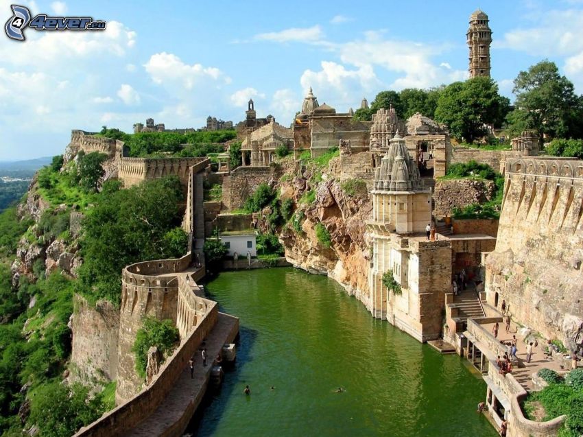 stad, Indien, bassäng, grönt vatten