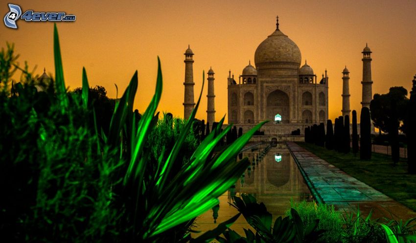 Taj Mahal, vatten, buskar, kväll