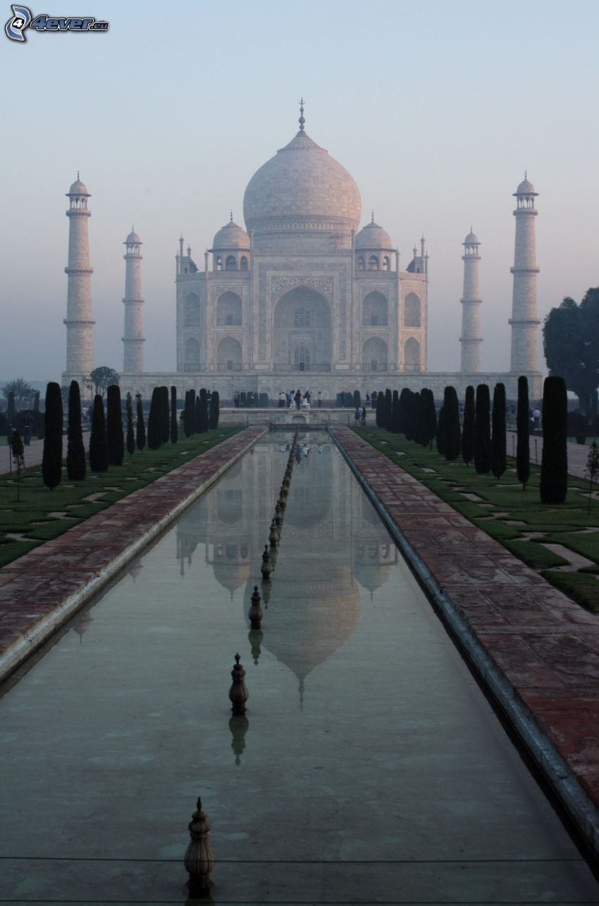 Taj Mahal, vatten, träd, park