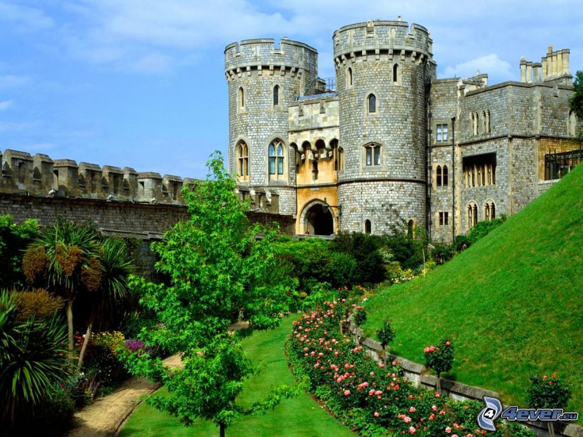 Windsor Castle, trädgård, grönska