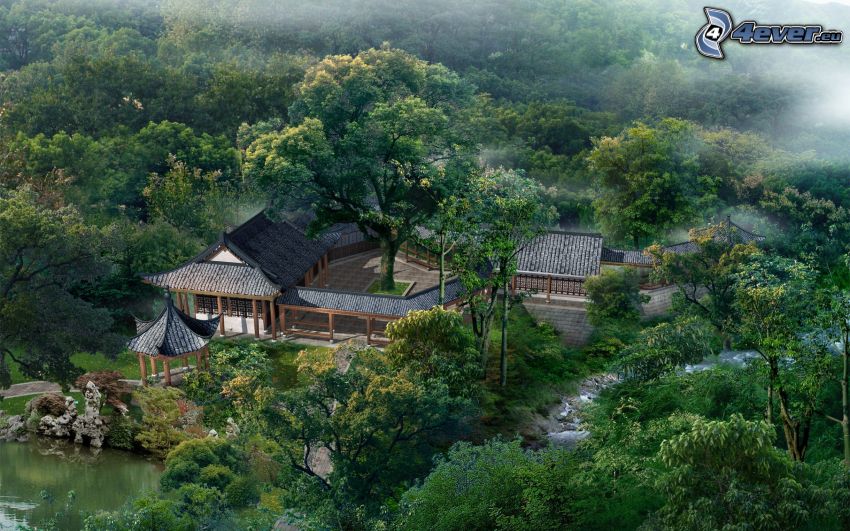 kinesiskt hus, kinesisk natur, träd
