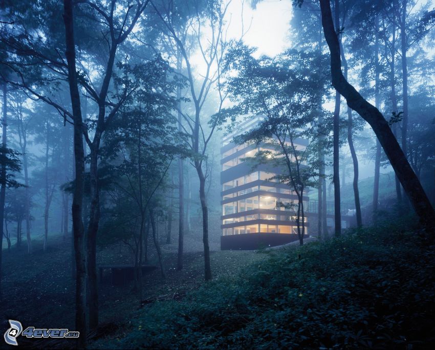 lyxigt hus, skog