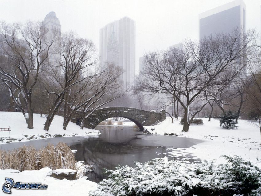 Central Park, snö