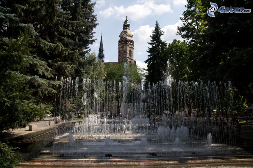 park, fontän, St. Elisabeth-katedralen, barrträd