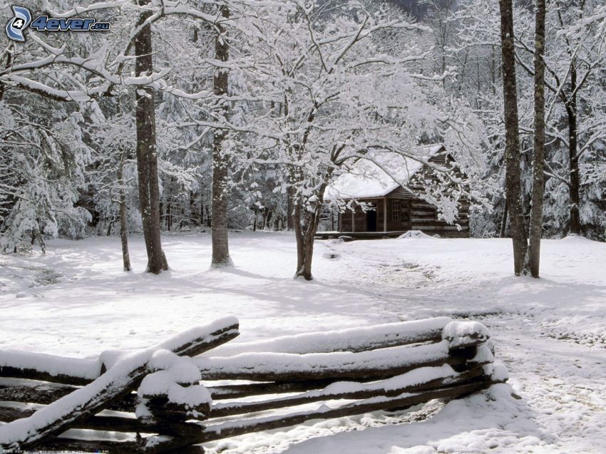 snöig stuga, snöklädda träd, trästaket