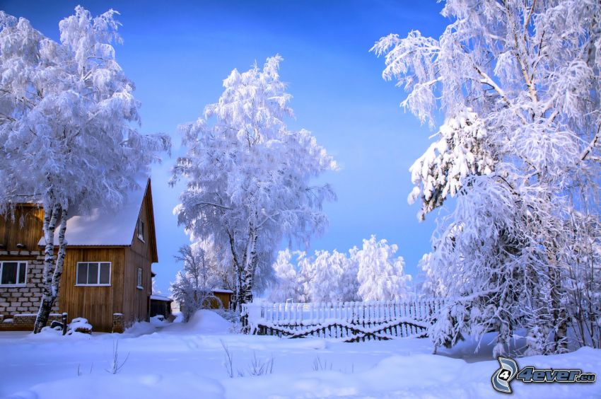 snöig stuga, snöklädda träd
