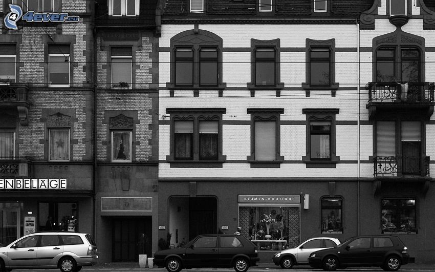 gata, hus, svartvitt foto