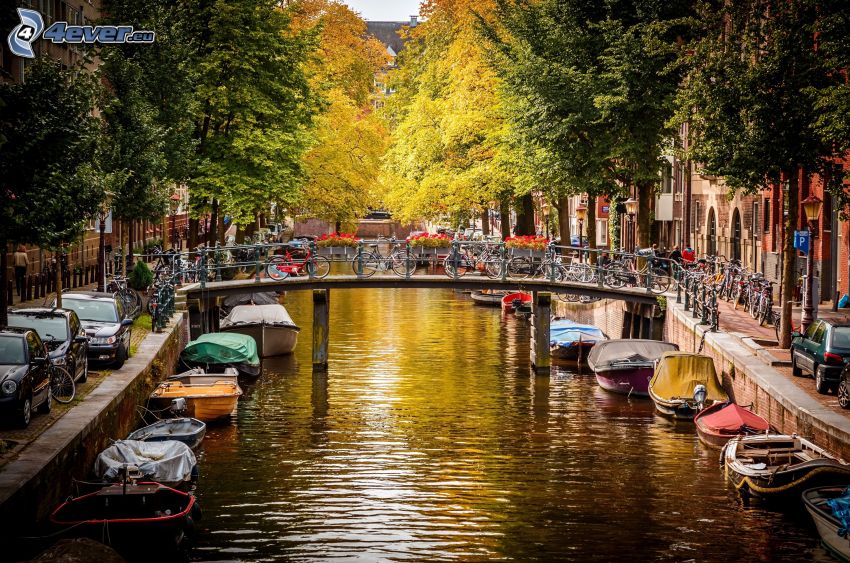 kanal, båtar, cyklar, Amsterdam