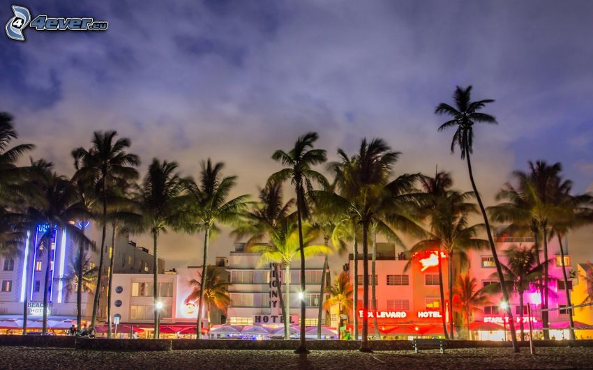 Miami, palmer, färgglada hus