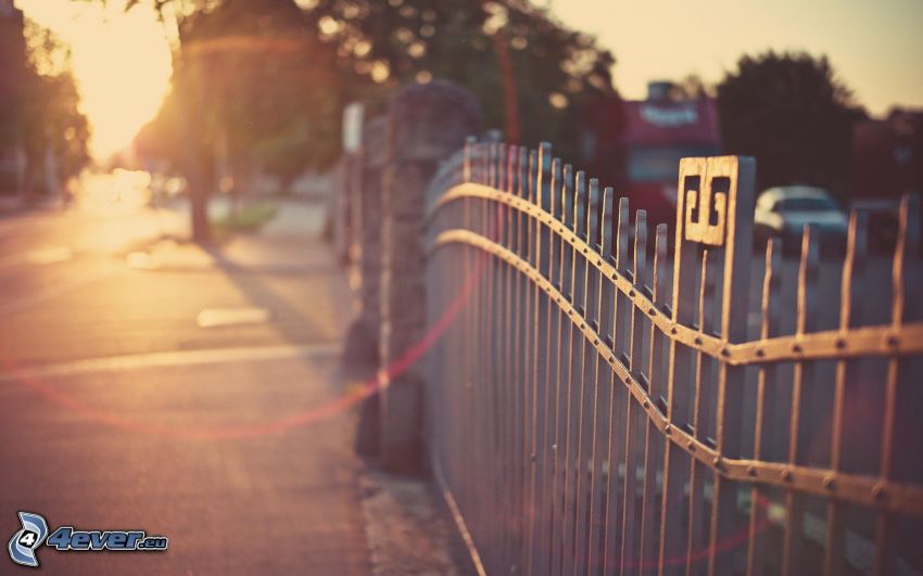 staket, solnedgång i staden, gata