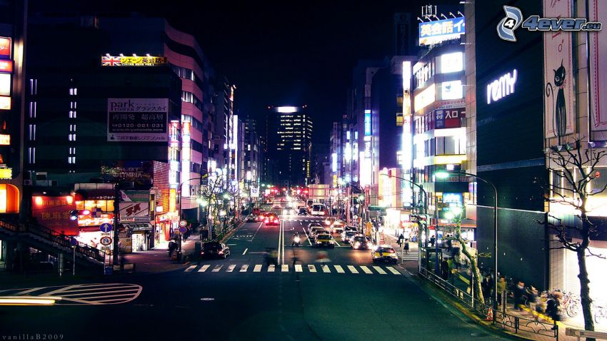Tokyo, Japan, nattstad, gata