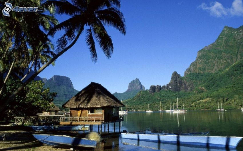 stuga, öarna Moorea, Tahiti, bergskedja