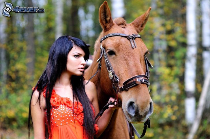 brun häst, svarthårig kvinna