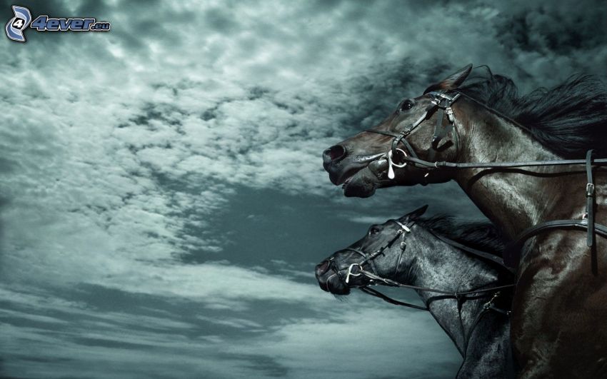 häst och vagn, moln