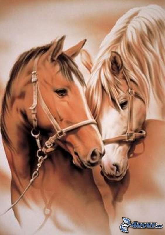 hästar, kärlek