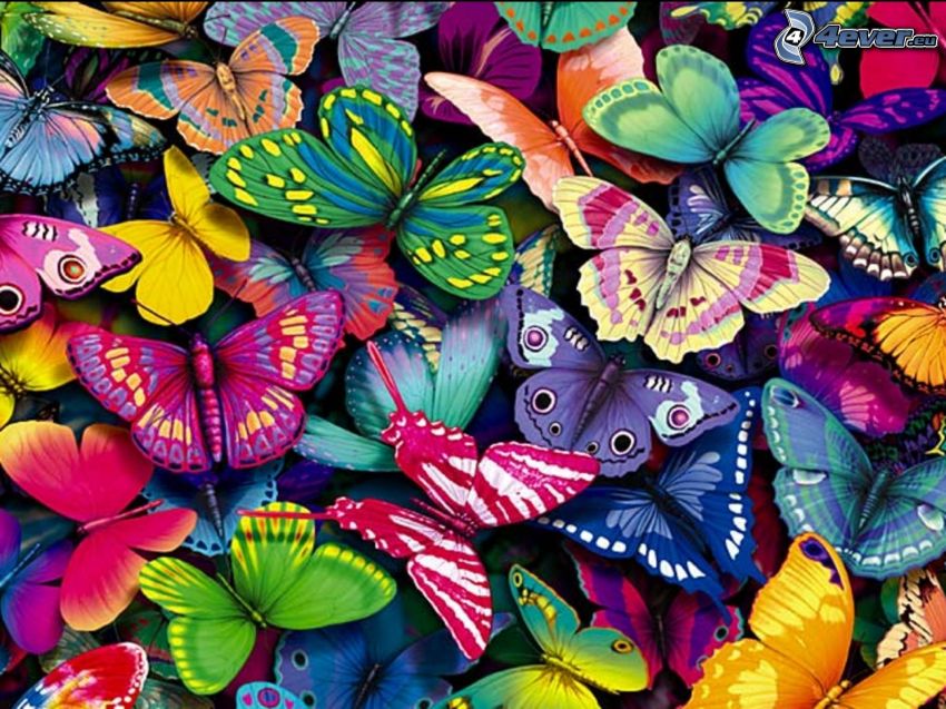 färggranna fjärilar