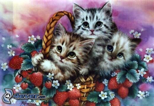 kattungar i korg, jordgubbar, tecknat