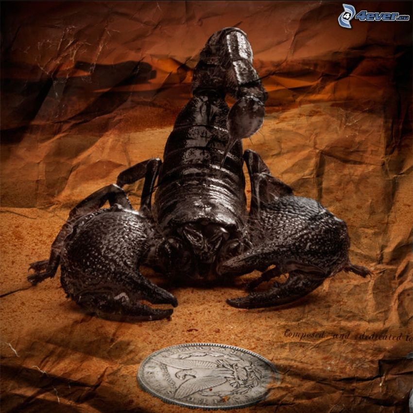 skorpion, mynt