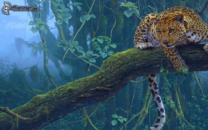 jaguar, djungel