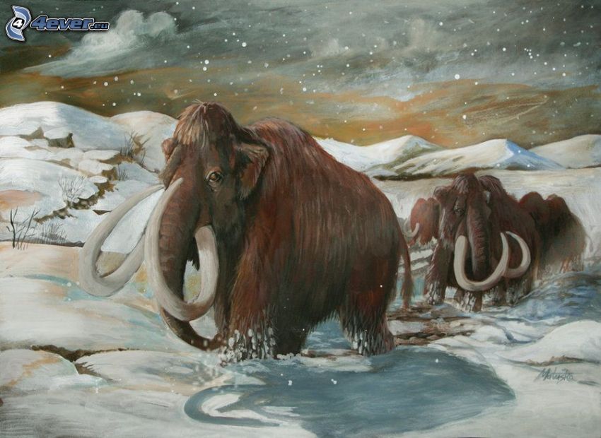 mammutar, snö, bergskedja, tecknat