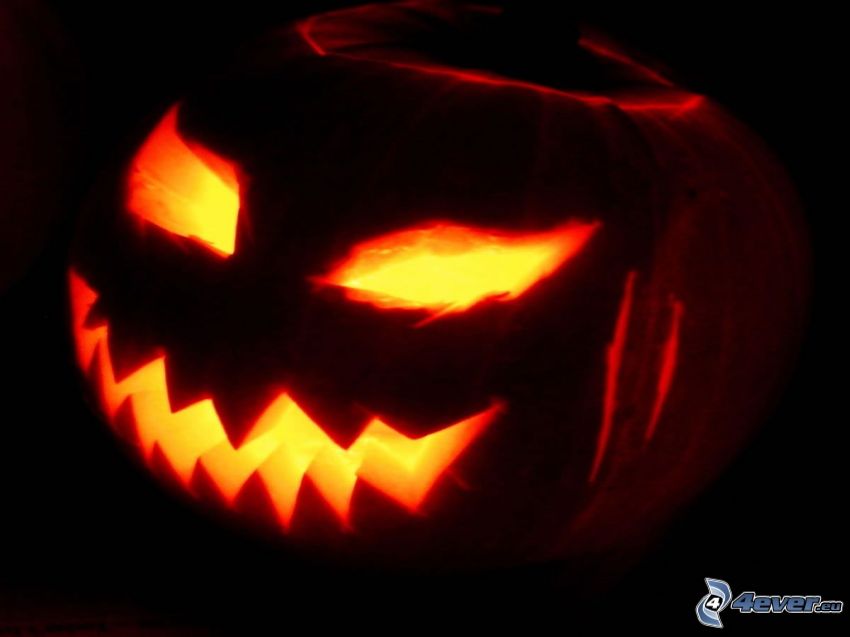 halloween pumpa, jack-o'-lantern