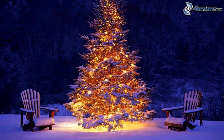 julgran, fåtöljer, snöigt landskap, natt