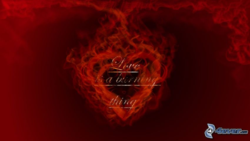 kärlek, hjärta, flamma