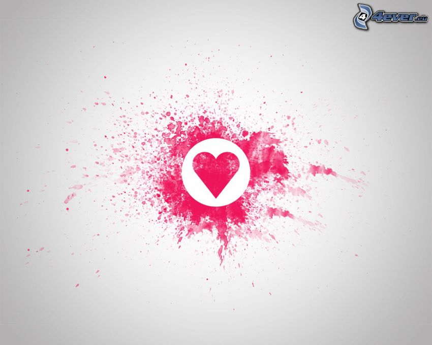rosa hjärta, fläck, vit bakgrund