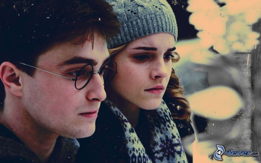 Harry Potter, Hermione